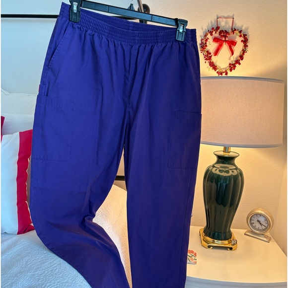 Dickies Pants - Dickies scrub pants. Soft and comfortable! Broken in with no stains!